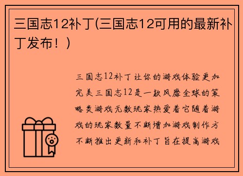 三国志12补丁(三国志12可用的最新补丁发布！)