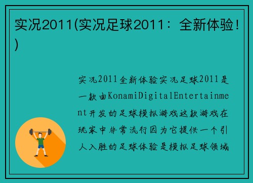 实况2011(实况足球2011：全新体验！)